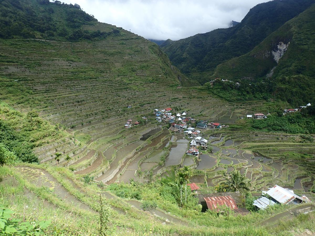 Batad View Inn And Restaurant Banaue Εξωτερικό φωτογραφία
